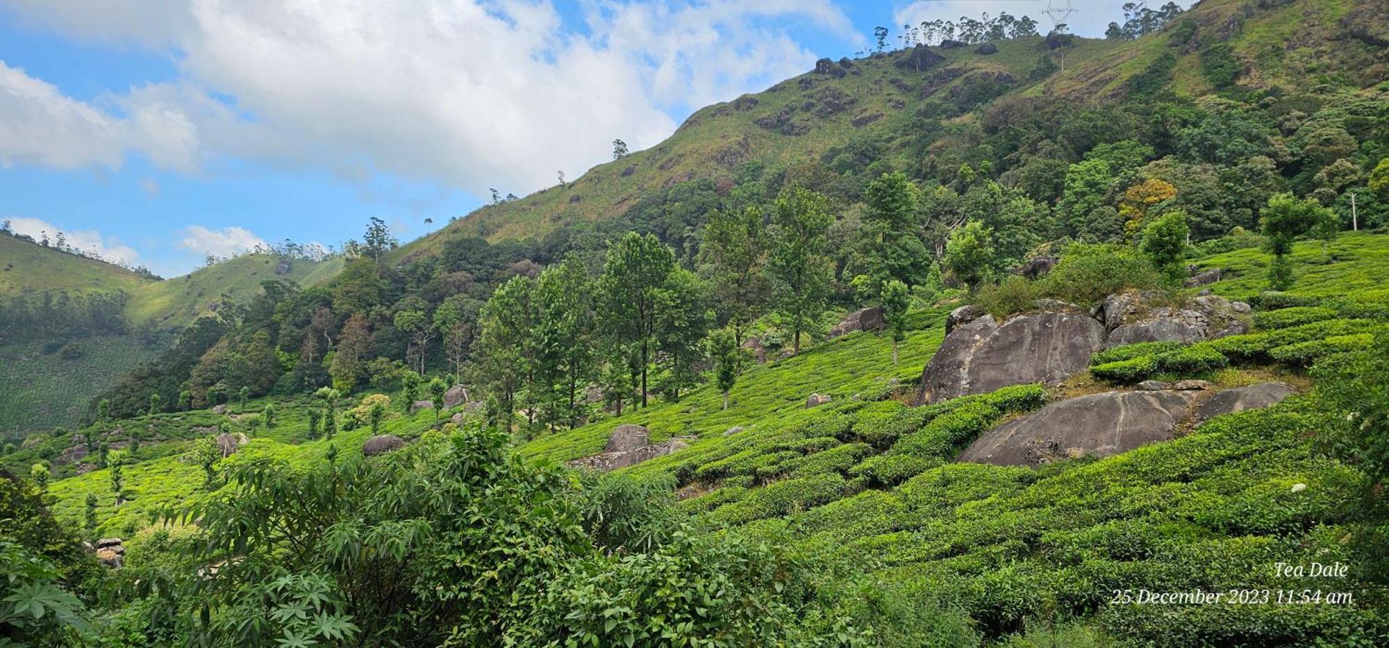 Tea Dale - All Rooms With Tea Estate View 蒙纳 外观 照片