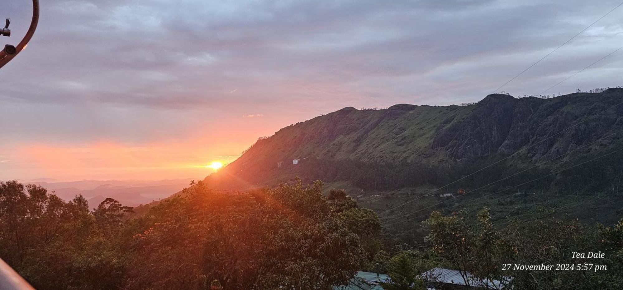 Tea Dale - All Rooms With Tea Estate View 蒙纳 外观 照片