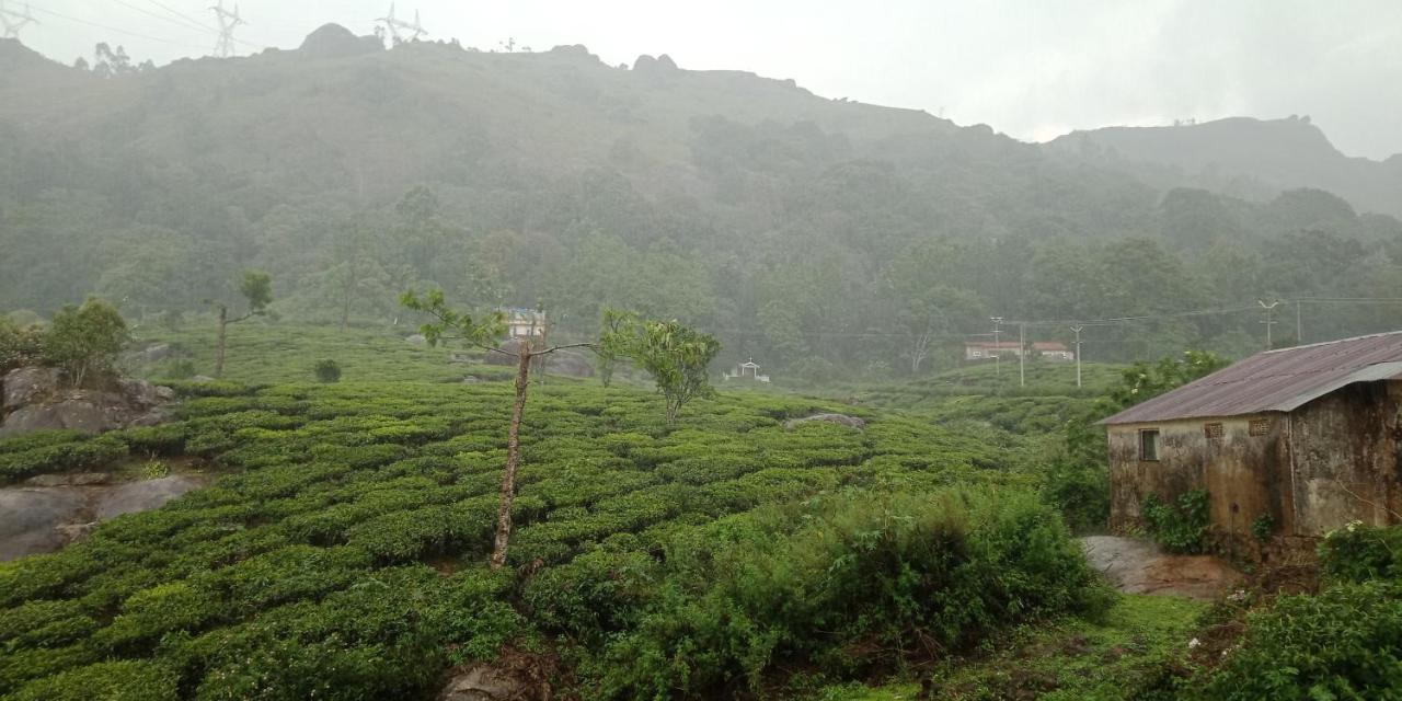 Tea Dale - All Rooms With Tea Estate View 蒙纳 外观 照片