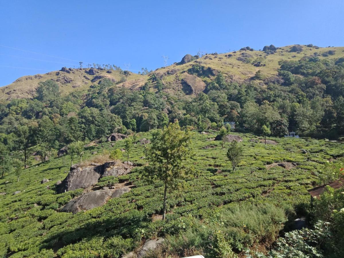 Tea Dale - All Rooms With Tea Estate View 蒙纳 外观 照片