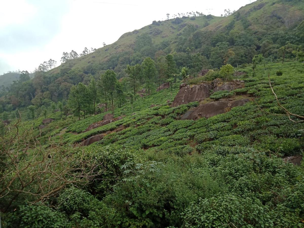 Tea Dale - All Rooms With Tea Estate View 蒙纳 外观 照片
