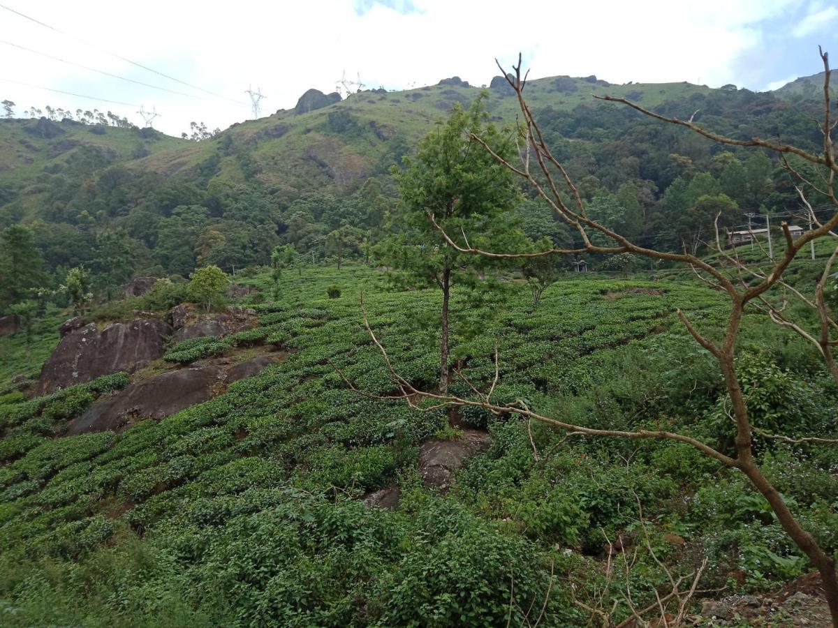 Tea Dale - All Rooms With Tea Estate View 蒙纳 外观 照片