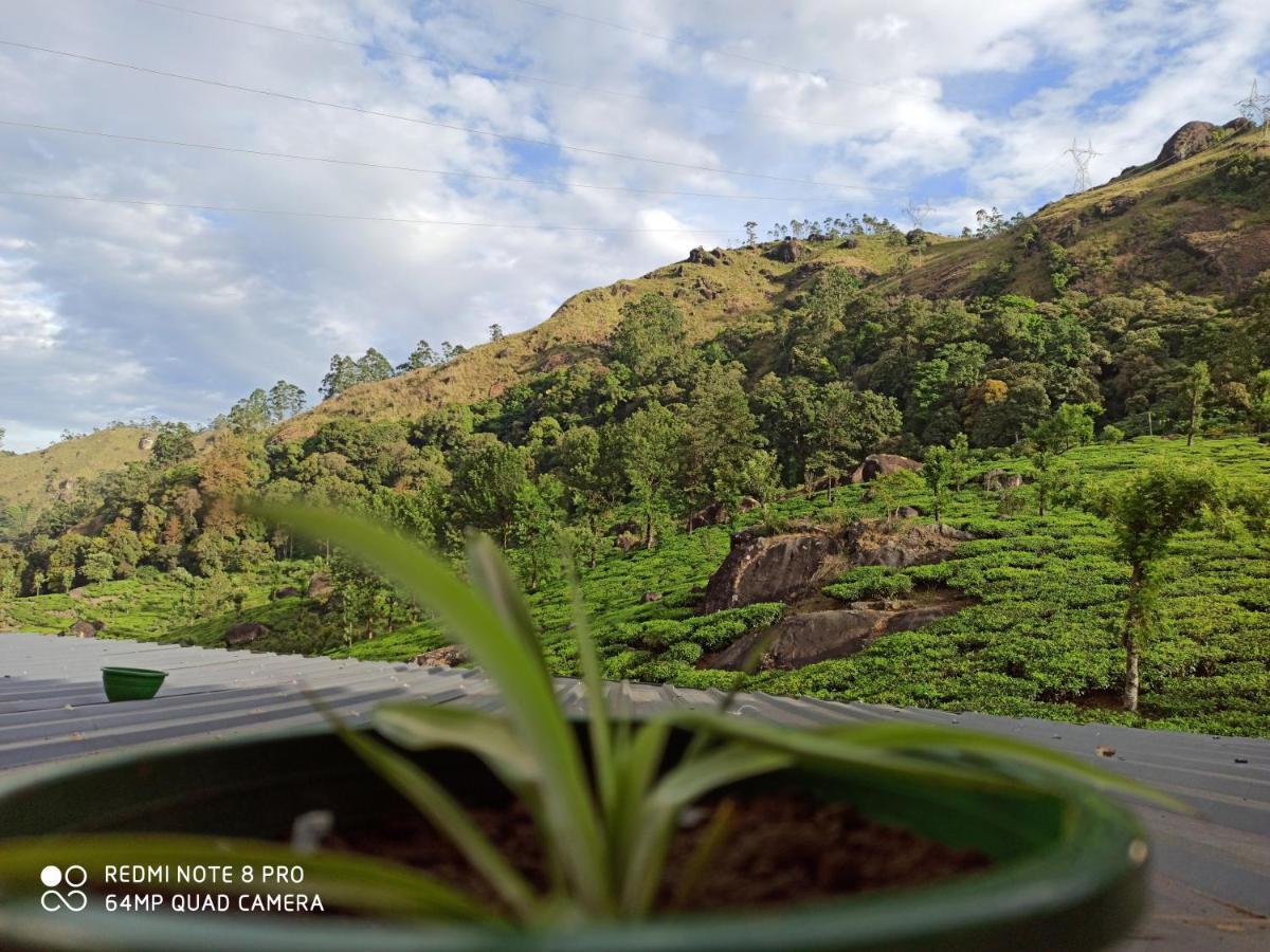 Tea Dale - All Rooms With Tea Estate View 蒙纳 外观 照片